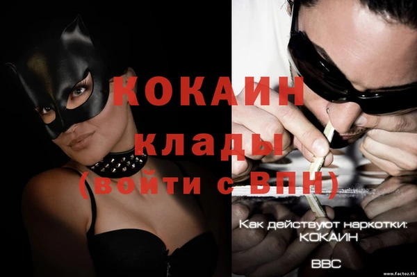 трава Новодвинск